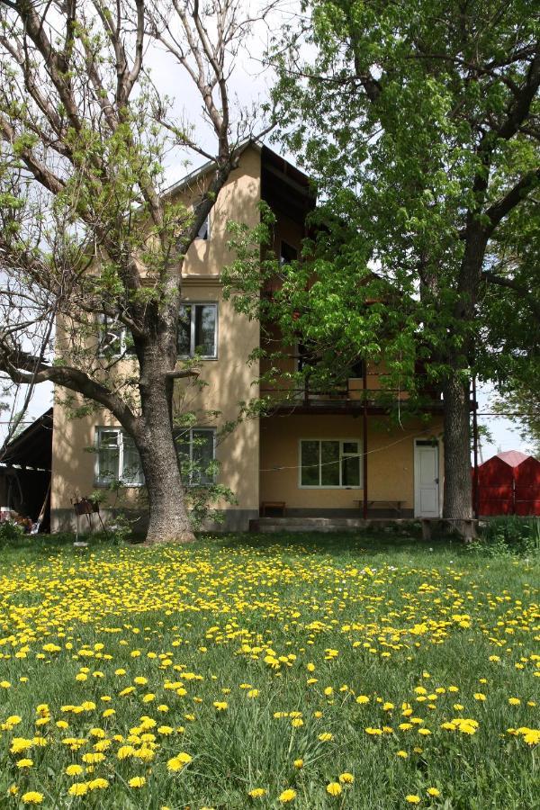 Hotel Дом Жени И Люды Zhabagly Exterior foto